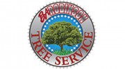 BA Robinson Tree Service