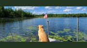 CENTURY 21 Land of Lakes