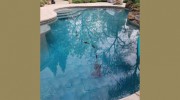 Williams Pool Care