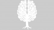 Casey Lepper Austin Psychotherapist