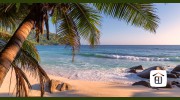 Hawaii Life