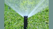 Buena Vista Lawn Care