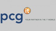 Palecek Consulting Group