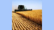 BK Commodities