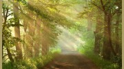 Abundant Peace Counseling