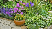 MFP Landscaping