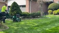 Lawn Aeration