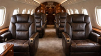 Aircraft Leather Repair