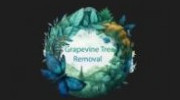 Grapevine Tree Removal