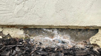 House Leveling