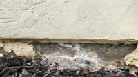 Steel Piere Beam Repair