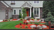 Flagship Landscapes