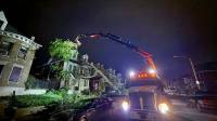 Emergency Tree Service