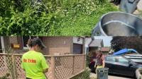 Garden Maintenance