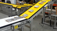Food Conveyors