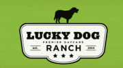 Lucky Dog Daycare Ranch